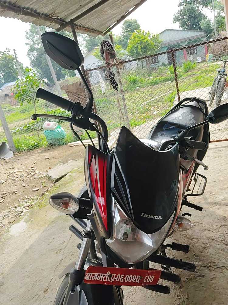 2019 Honda Shine in Bharatpur for sale at RamroGaadi.