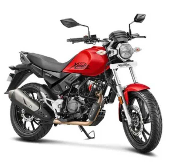 2019 Hero XPulse 200