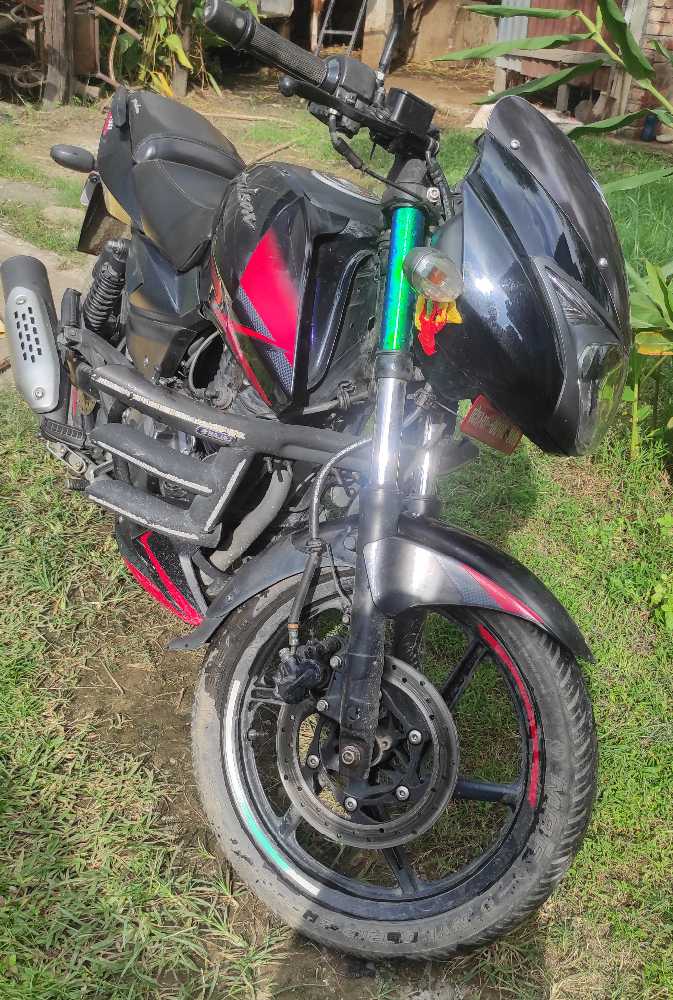 2019 Bajaj Plusar 150