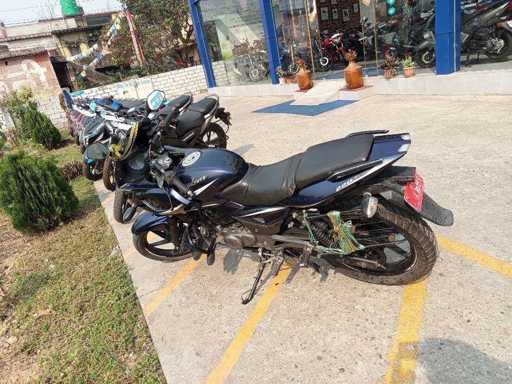 2017 Bajaj Plusar 220 in Hetauda for sale