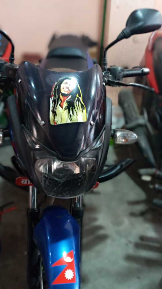 2015 Bajaj Plusar 150
