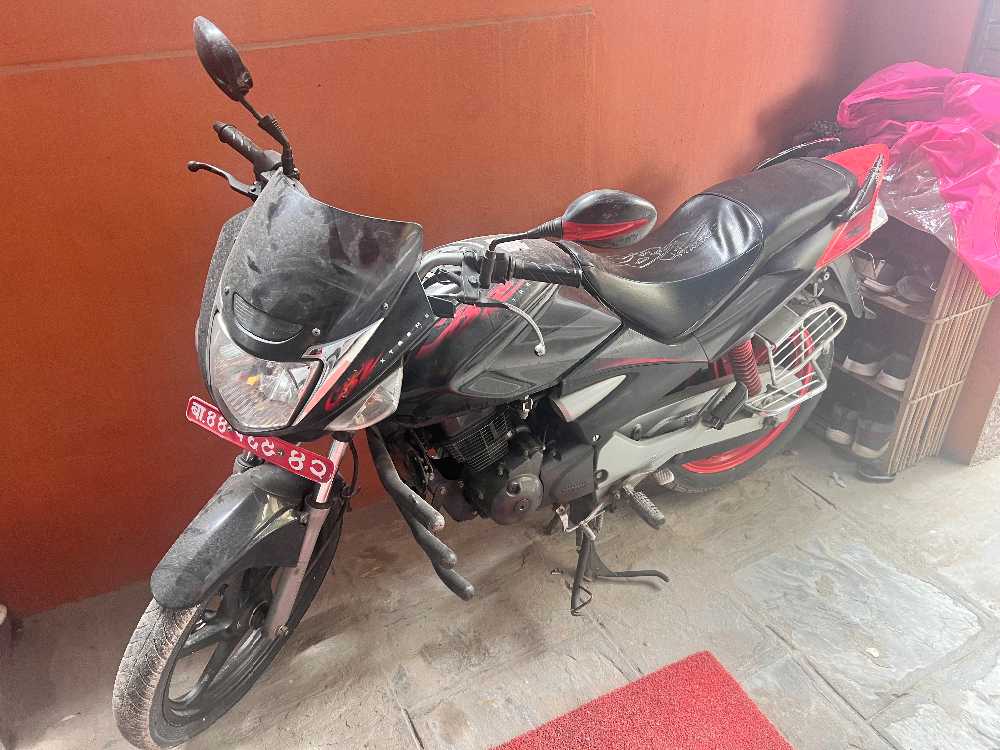 2010 Hero Xtreme