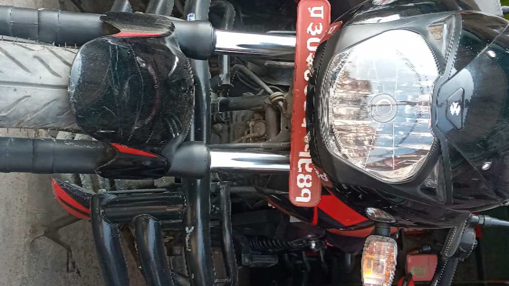 2019 Bajaj Plusar 150