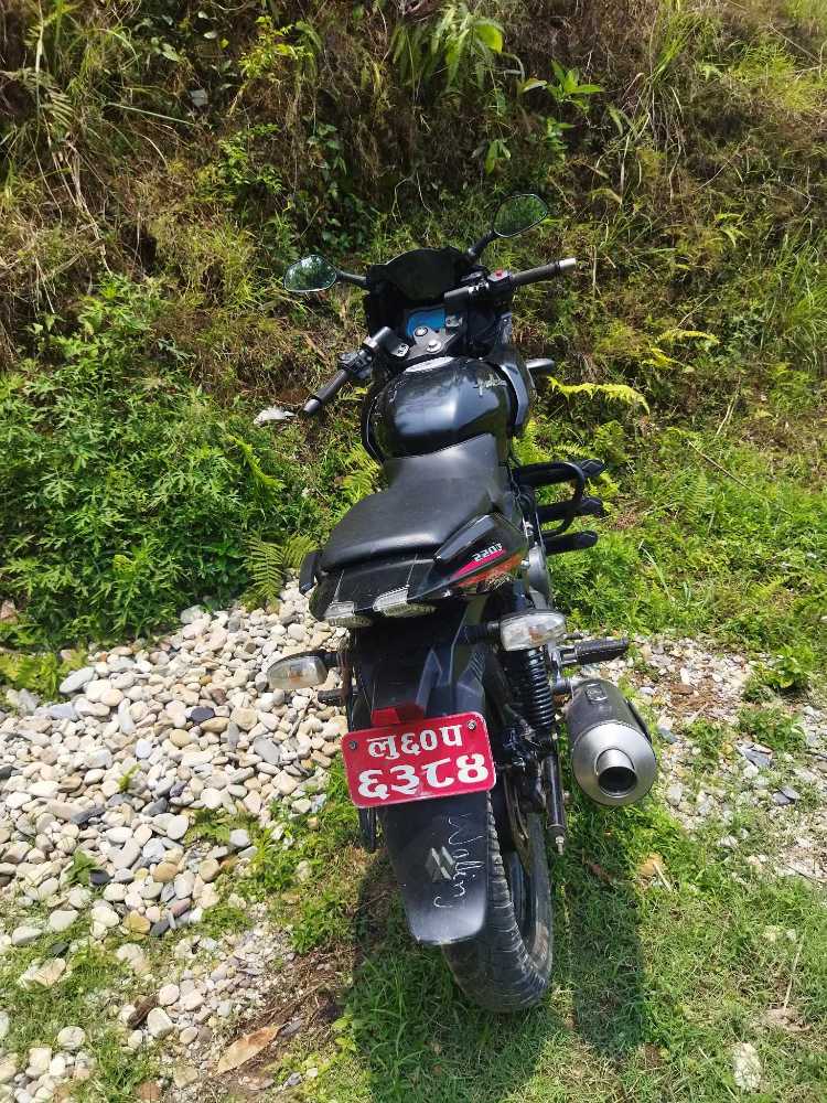 2020 Bajaj Plusar 220