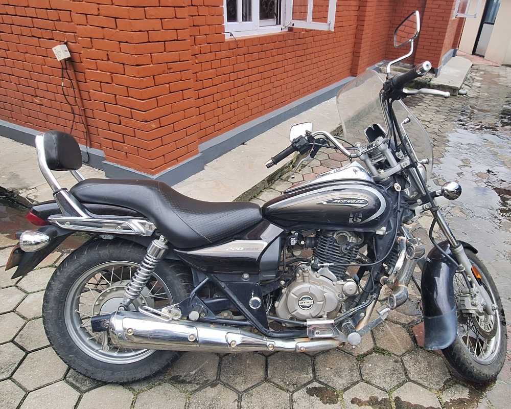 2020 Bajaj Avenger 220