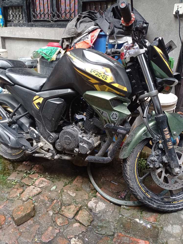 2016 Yamaha FZS 25