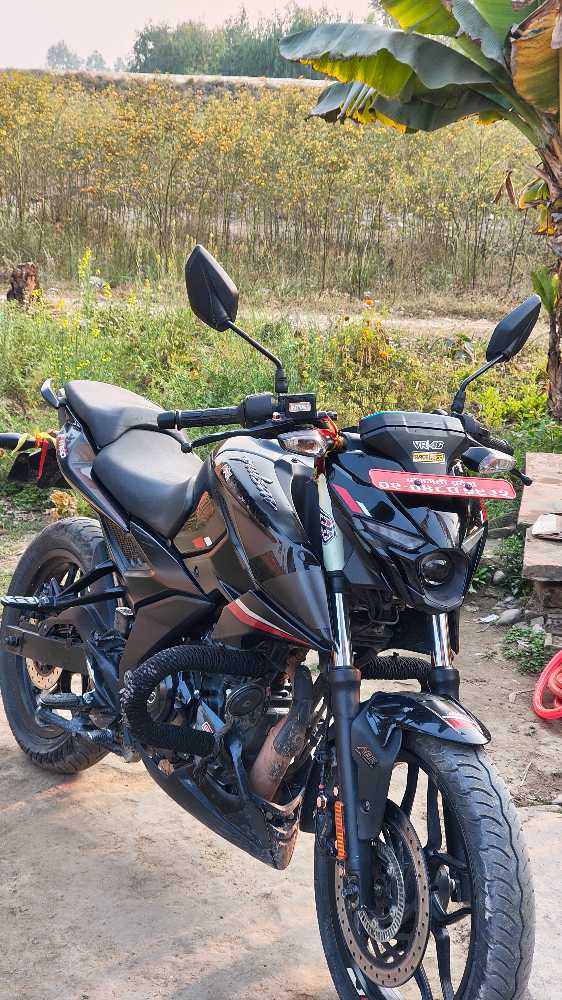 2023 Bajaj NS 160 in Kathmandu for sale