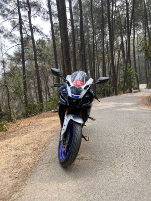 2023 Yamaha R15
