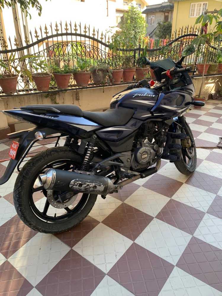 2019 Bajaj Plusar 150