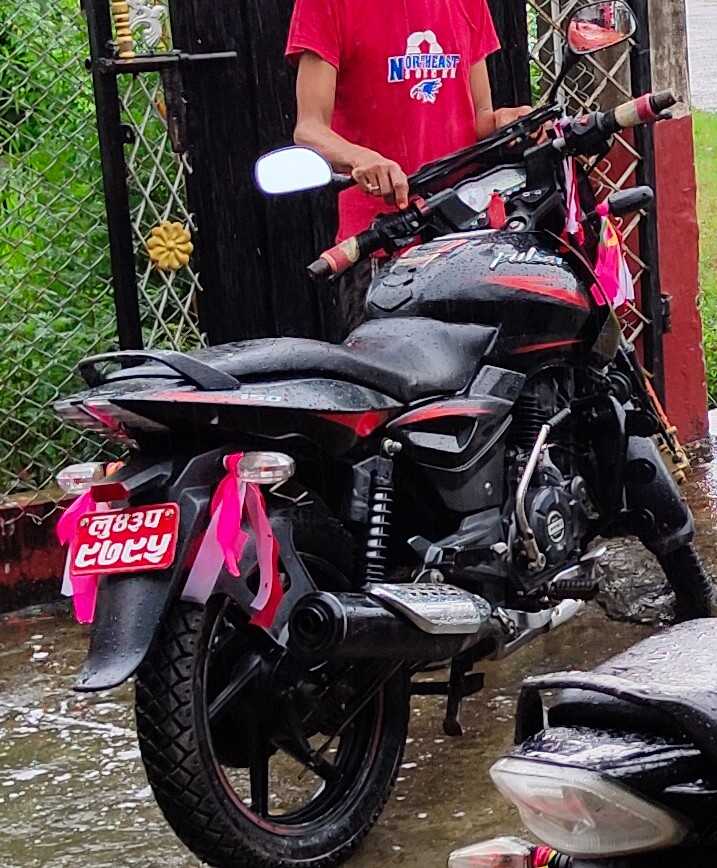 2019 Bajaj Plusar 150