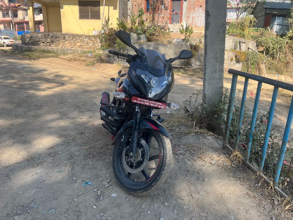 2019 Bajaj Plusar 220