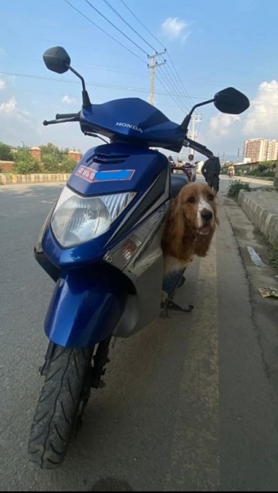 2011 Honda Dio in Kathmandu for sale at RamroGaadi.