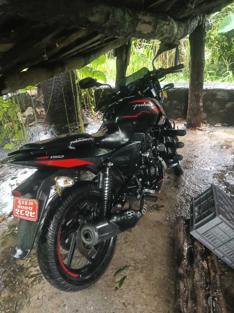 2023 Bajaj Plusar 150 in Mahendranagar for sale at RamroGaadi.